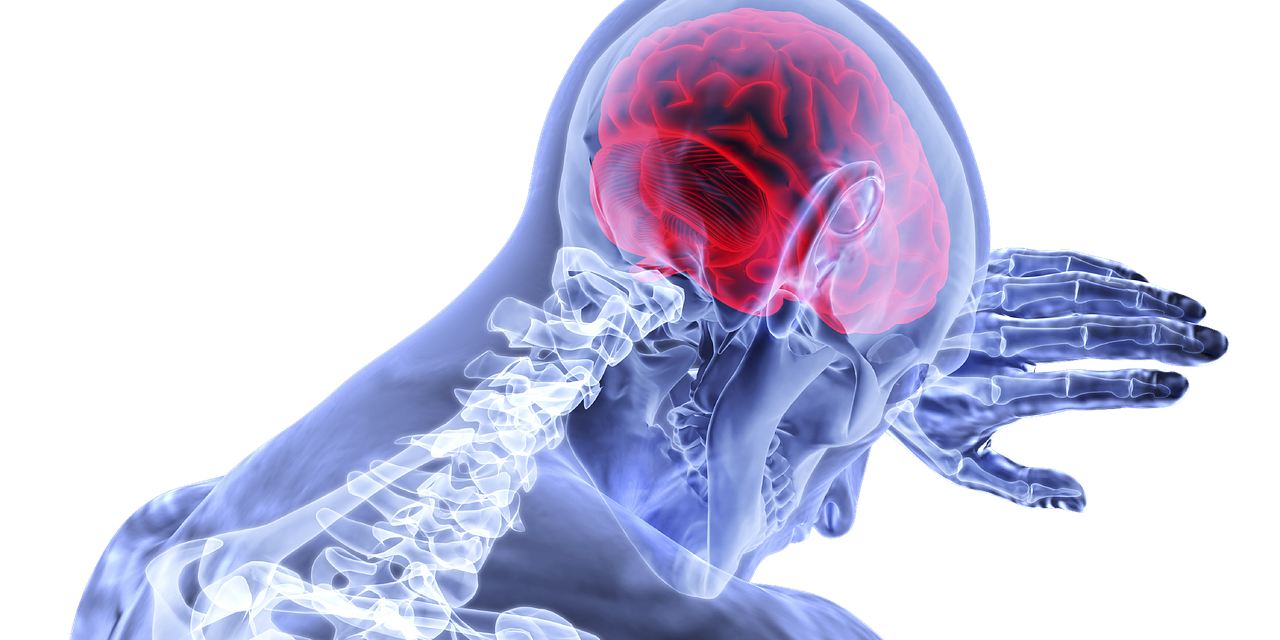 Menopause Increases Stroke Risk – Part 2