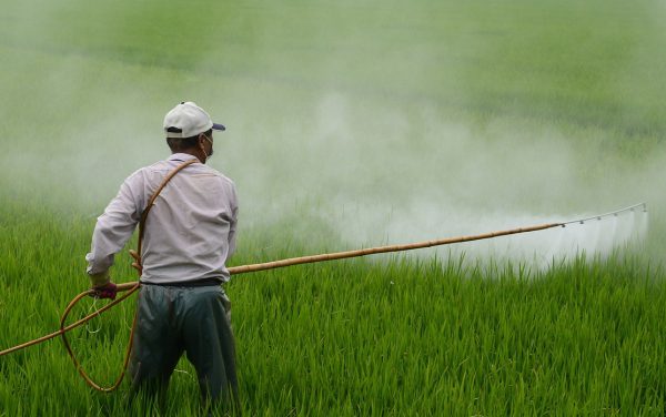 Preventing Pesticides from Killing Bugs and Brain Cells