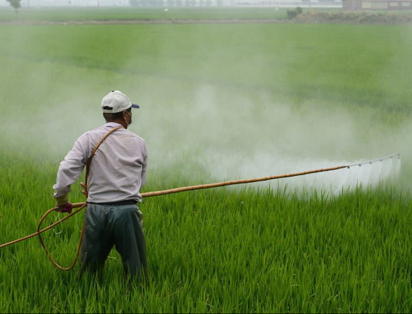 Preventing Pesticides from Killing Bugs and Brain Cells