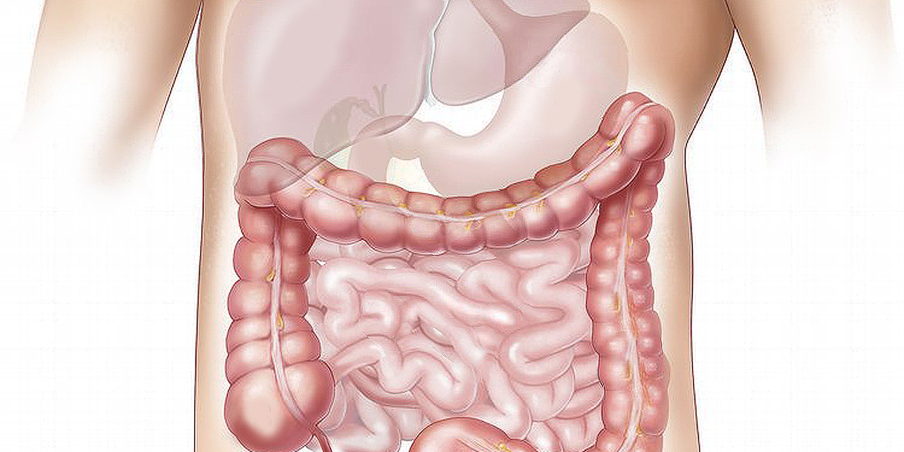 TBI Beyond the Brain: Intestinal Impact